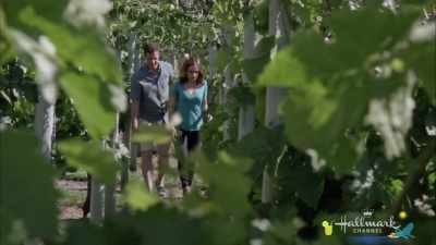 Look, Nate, I understand
that you wanna prove yourself, - Summer in the Vineyard