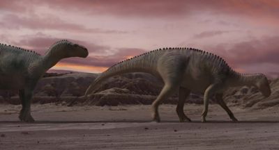 Look Neera we watch out for each other - Dinosaur