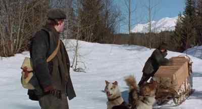 Look, you old weasel! - White Fang