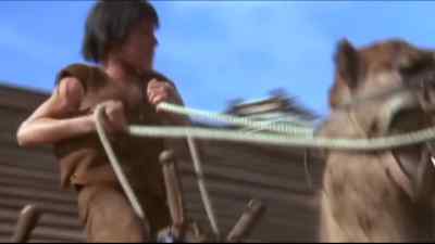 Look out! On the porch! - One Little Indian
