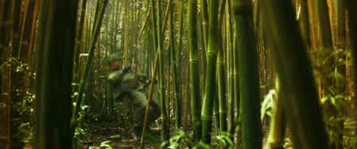 Look out! - Kong: Skull Island