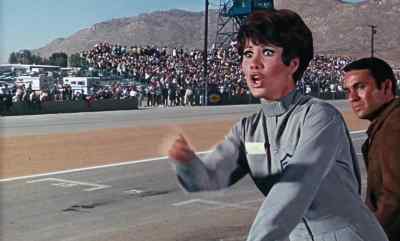 Look out! - The Love Bug