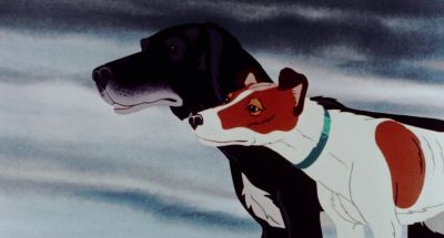 Look out there - The Plague Dogs