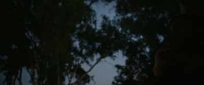 Look out your window - The Engineer
