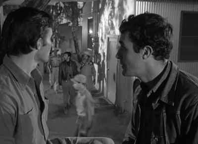 Look, Pablito, that shirt. - Border Incident