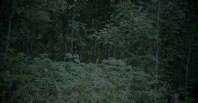 Look, people disappear.
They lose time. - Nina of the Woods