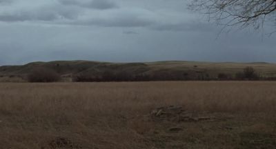 Look quail - Certain Women