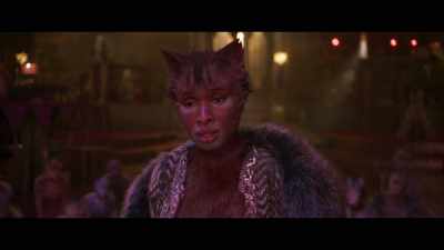 ♪ Look ♪ - Cats