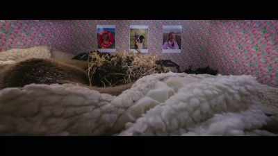 Look, she's making,
she's making her bed. - Billy & Molly: An Otter Love Story