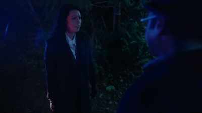 Look, if someone wanted
to murder Vincent, - The Irrational