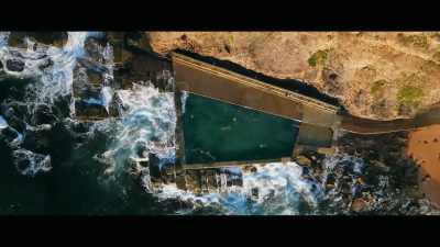 Look, the way the
technology works - Envoy: Shark Cull