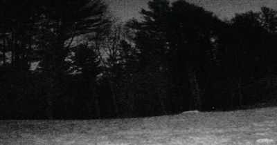 Look, there's a light
right there. - The Sleepless Unrest