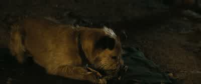 Look, things will happen to you. - Finch