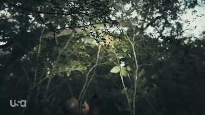 Look up there. - Snake in the Grass