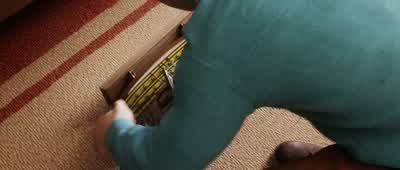 Look what you did. - The Adventures of Tintin