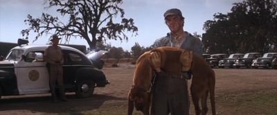 Look what he done to Blue - Cool Hand Luke
