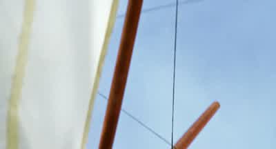 Look what that stupid mouse did to my sailHe's not a stupid mouseYou're right He's a stupid rat - Stuart Little
