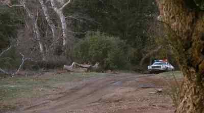 Look who's coming
back this way. - The Dukes of Hazzard