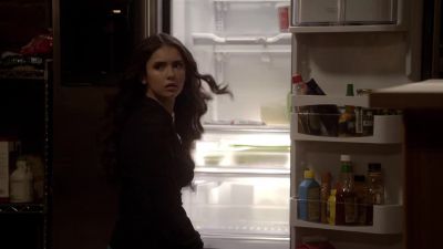 Look who's dumb enough
to come back. - The Vampire Diaries