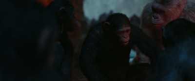 Look who's here, son... - War for the Planet of the Apes