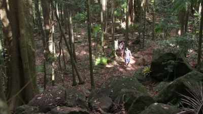 Look! X marks the spot! - Rock Island Mysteries