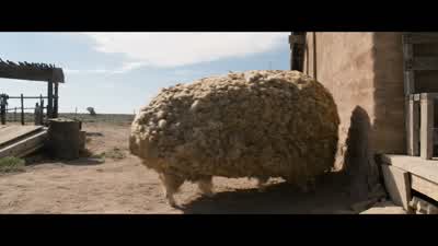 Look, you don't know what this is like, all right. - A Million Ways to Die in the West