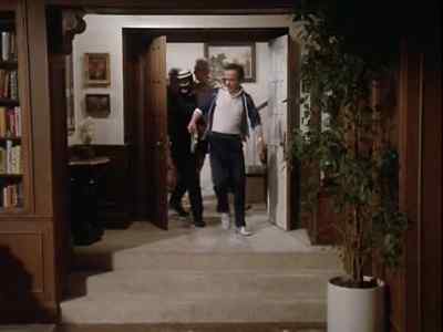 Look, if you insist on
this lunatic venture... - Remington Steele
