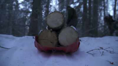 Looking at these logs, - Life Below Zero: Next Generation