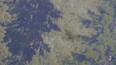  Looking through the scope, - Expedition Bigfoot