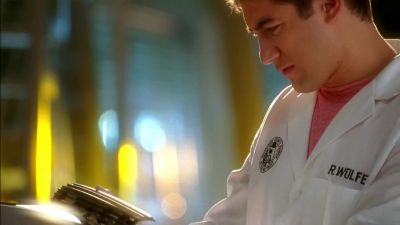 Looks like a blade of grass. - CSI: Miami