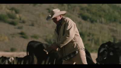 - Looks like a breech. - Yellowstone