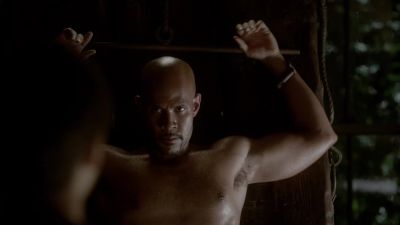 Looks like you got
too much leash. - The Vampire Diaries