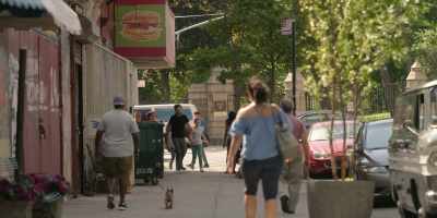 Looks like Harlem wants
its big red dog back. - Clifford the Big Red Dog