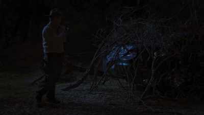 Looks like we have trespassers - Wolf Mountain