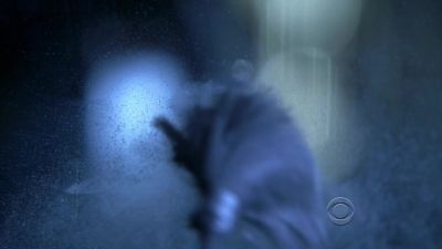 Looks like he
never settled in. - CSI: Crime Scene Investigation