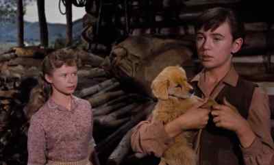 Looks like it's about time - Old Yeller