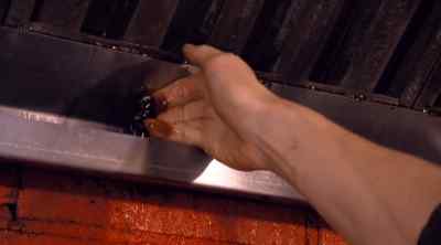 Looks like larva.. - Kitchen Nightmares