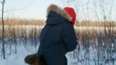 Looks like we lost one, though.
Maybe a lynx got into it? - Life Below Zero: First Alaskans