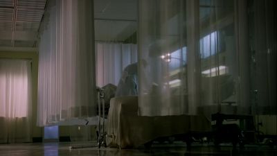 Looks like our .308.  - CSI: Miami