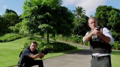 Looks like security. - Hawaii Five-O