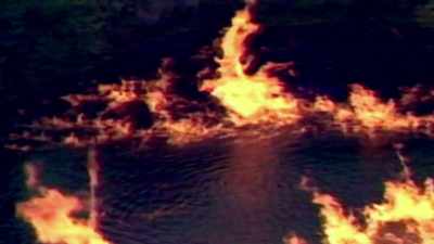 LOOKS LIKE SOMETHING
THAT YOU WOULD READ ABOUT - Strange Evidence