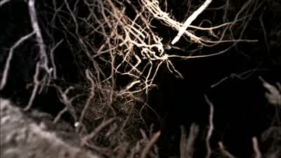 Looks like there's only room for one. - Supernatural