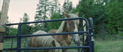 Looks like they're hungry too. - Hearts & Horses