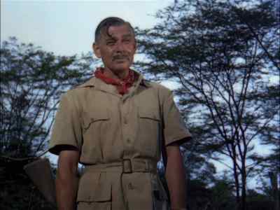 Looks like we're in for a little storm. - Mogambo