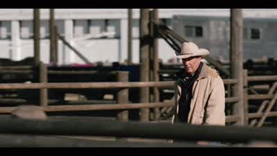 Looks like you're mine. - Yellowstone