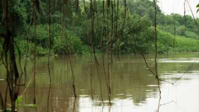 Loose branch there if anyone's
taking down decora‐‐ - When Nature Calls with Helen Mirren