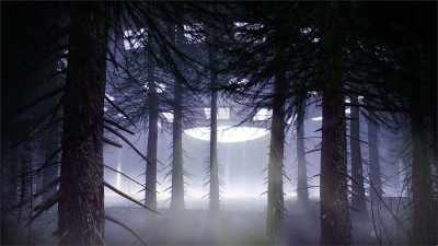 Loose grass lay on
top of the impression - Project Blue Book Exposed