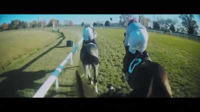 Lope Y Fernandez is
saving all the ground - Horsepower
