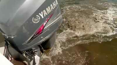 Lord, this ain't good, T. - Swamp People