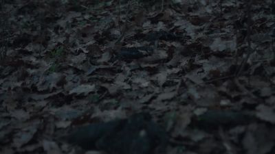 Lord? Do you see something? - The Last Kingdom